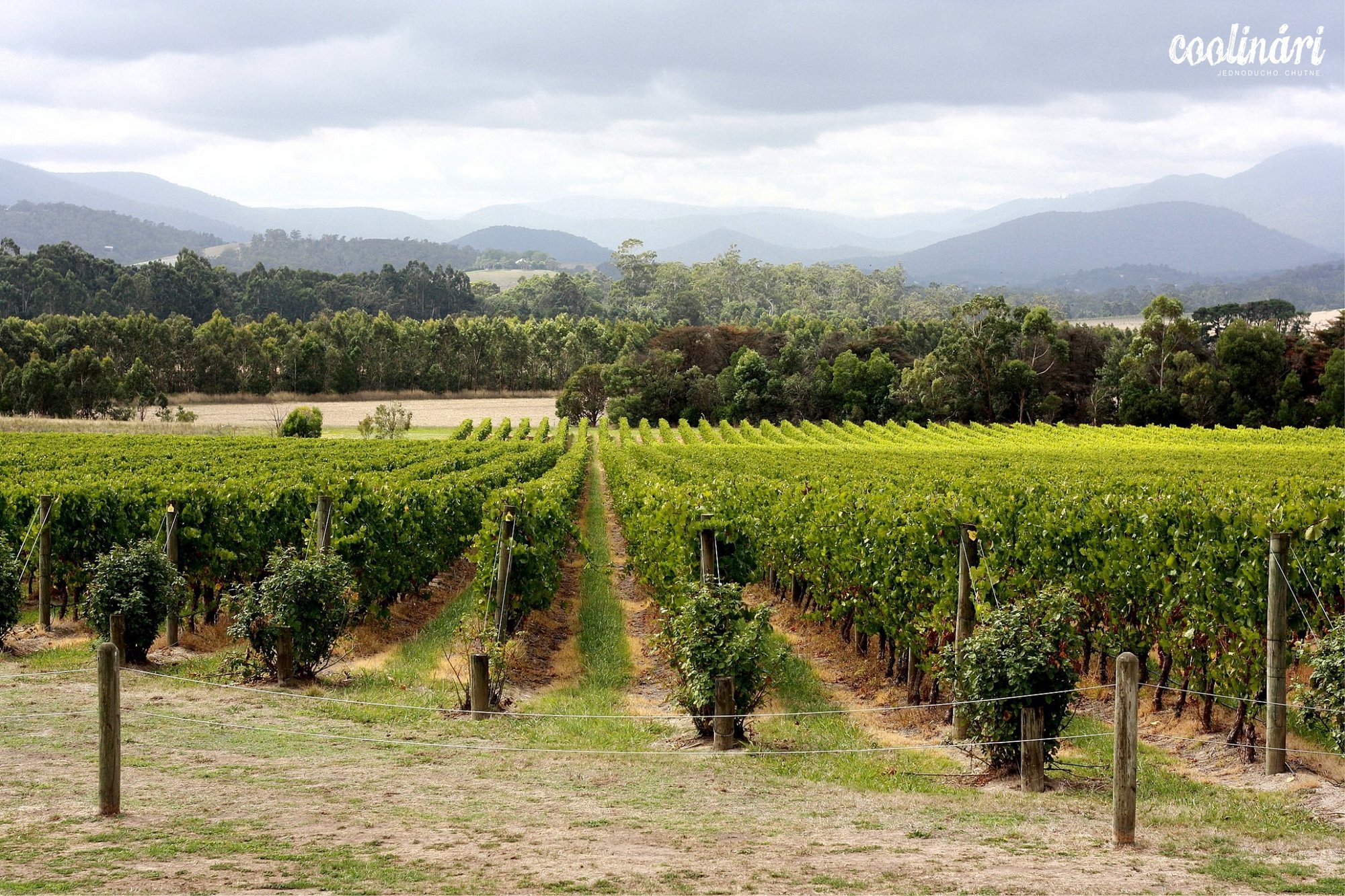 30-Yarra Valley4