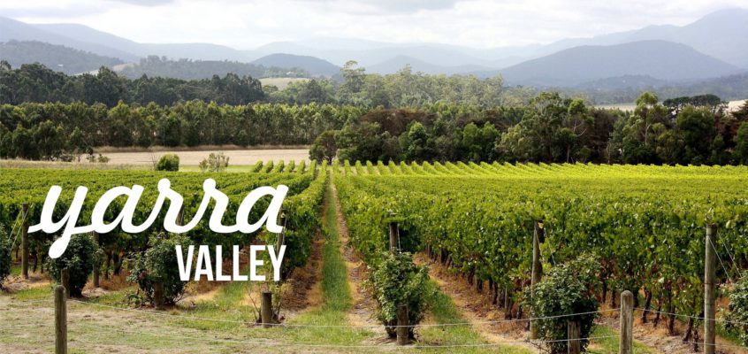 V Yarra Valley